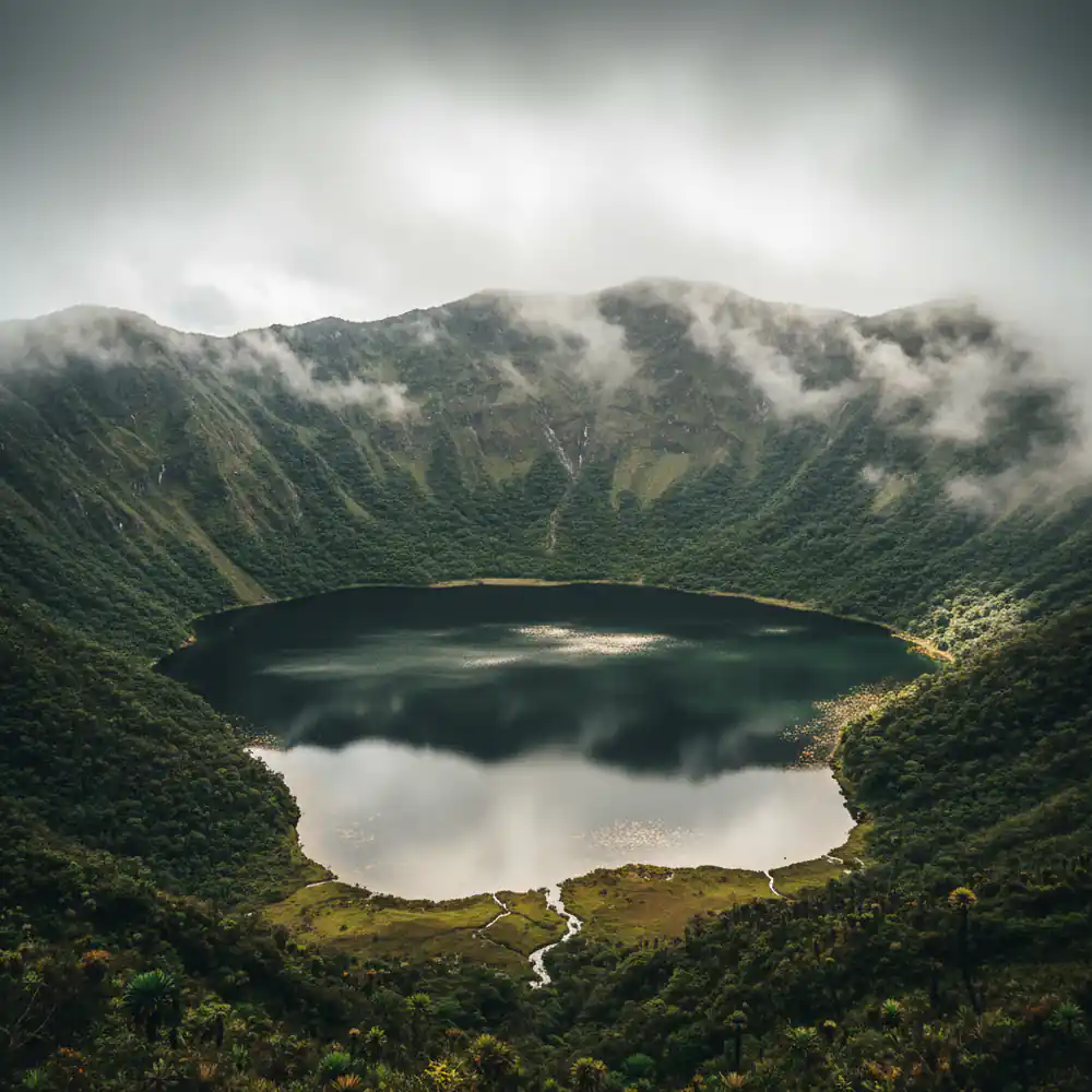 Paisaje andino envuelto en niebla